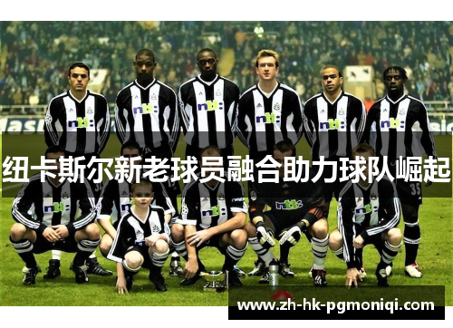纽卡斯尔新老球员融合助力球队崛起 纽卡斯尔新老球员融合助力球队崛起
